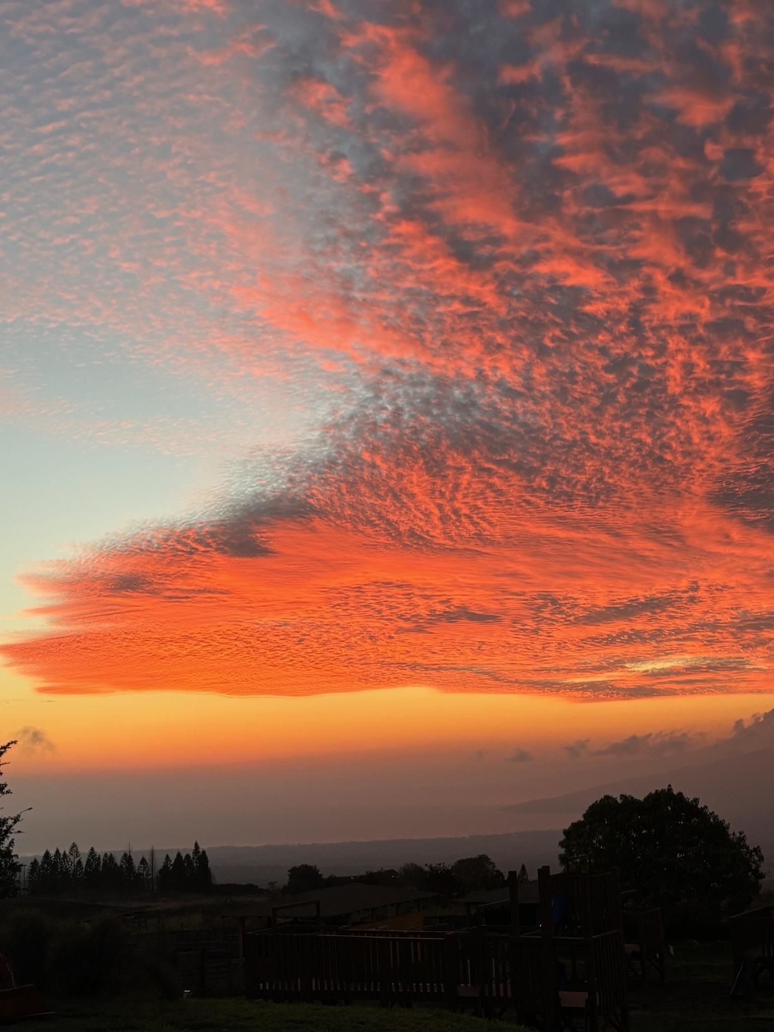 686 Omaopio Road Kula, HI 96790 - Photo 20 of 33