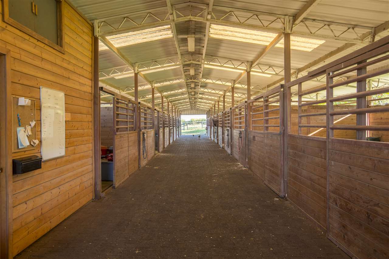 686 Omaopio Road Kula, HI 96790 - Photo 4 of 33