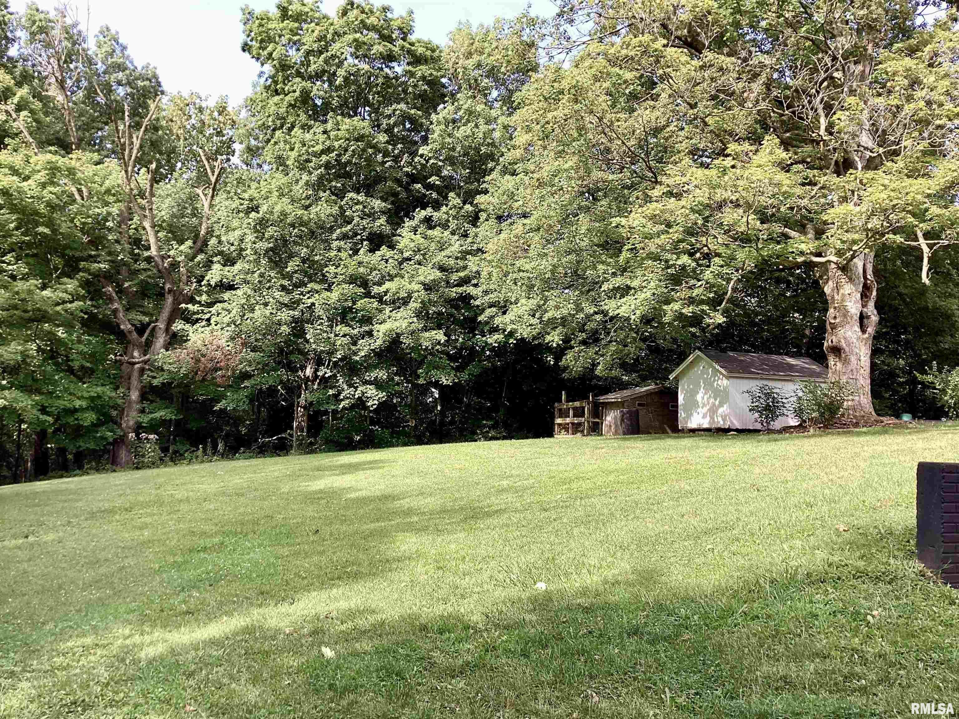 23040 East Ryer Road Farmington, IL 61531 - Photo 24 of 58