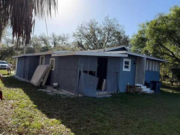 a view of backyard with potted plants and a large tree