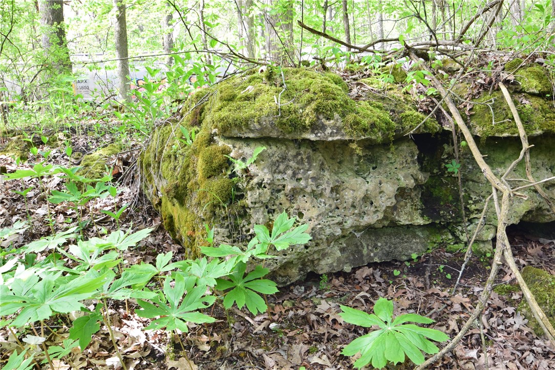 200 Spring Street Caledonia, NY 14423 - Photo 40 of 50 Massive rocks with fossils from glaciers