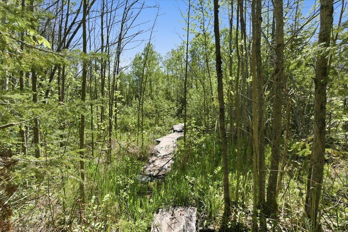 0 County Highway J Deerbrook, WI 54424 - Photo 7 of 78