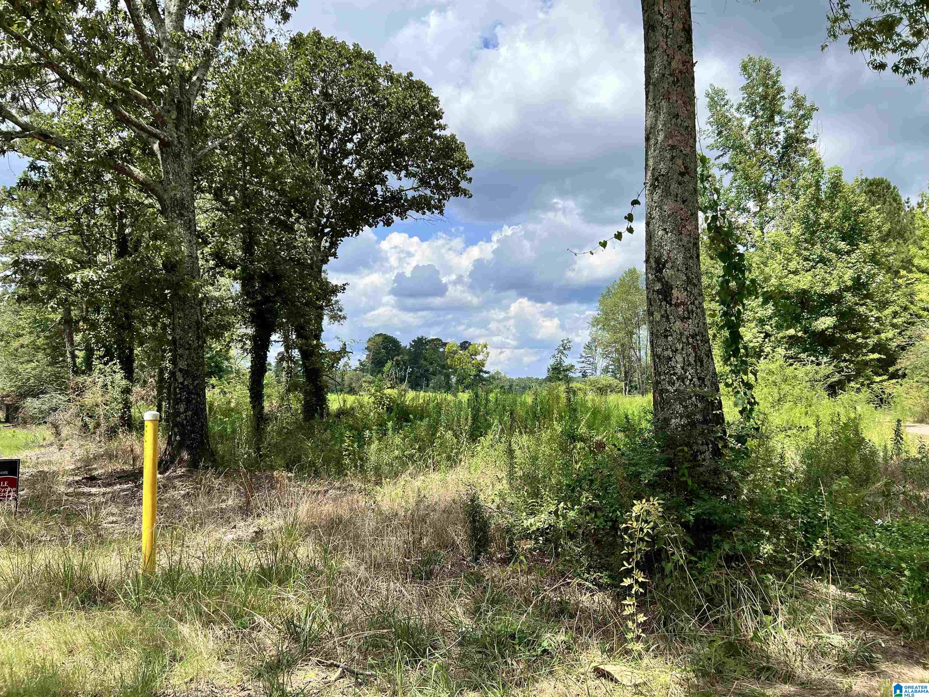 2845 Corner Road Warrior, AL 35180 - Photo 2 of 3