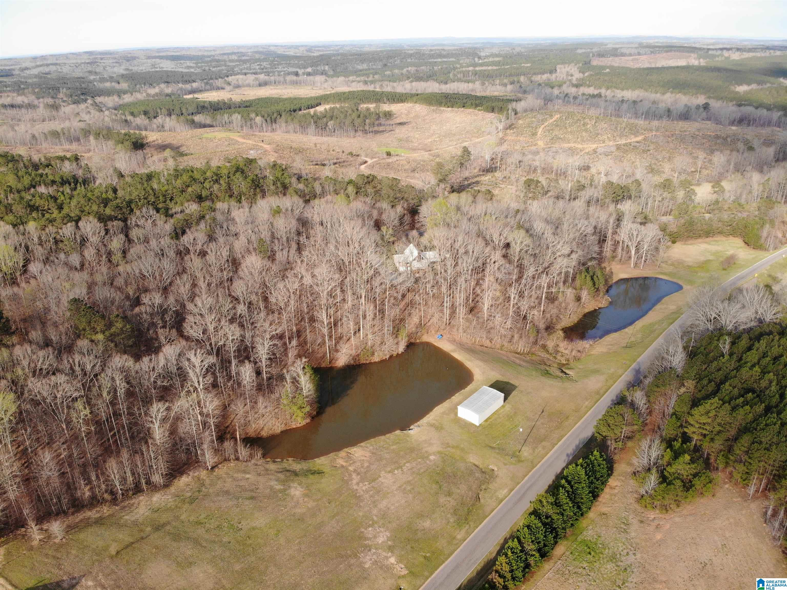 61 County Road, Unit 5 21 Roanoke, AL 36274 - Photo 5 of 9