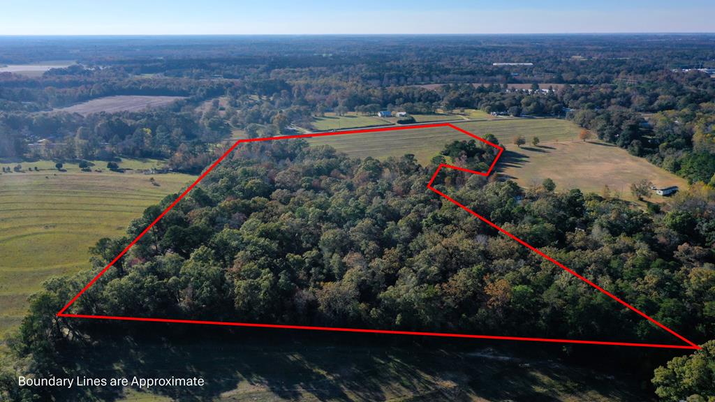 2923 Hodgesville Road Dothan, AL 36301 - Photo 1 of 49 Main View