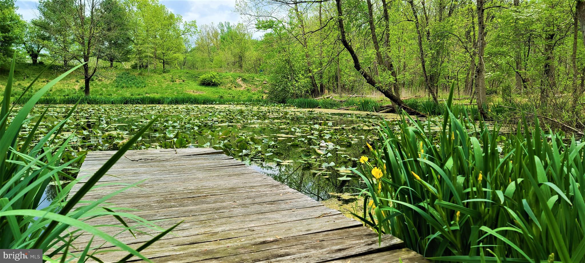 13023 Beaver Dam Road Cockeysville, MD 21030 - Photo 12 of 80 Pond with small dock