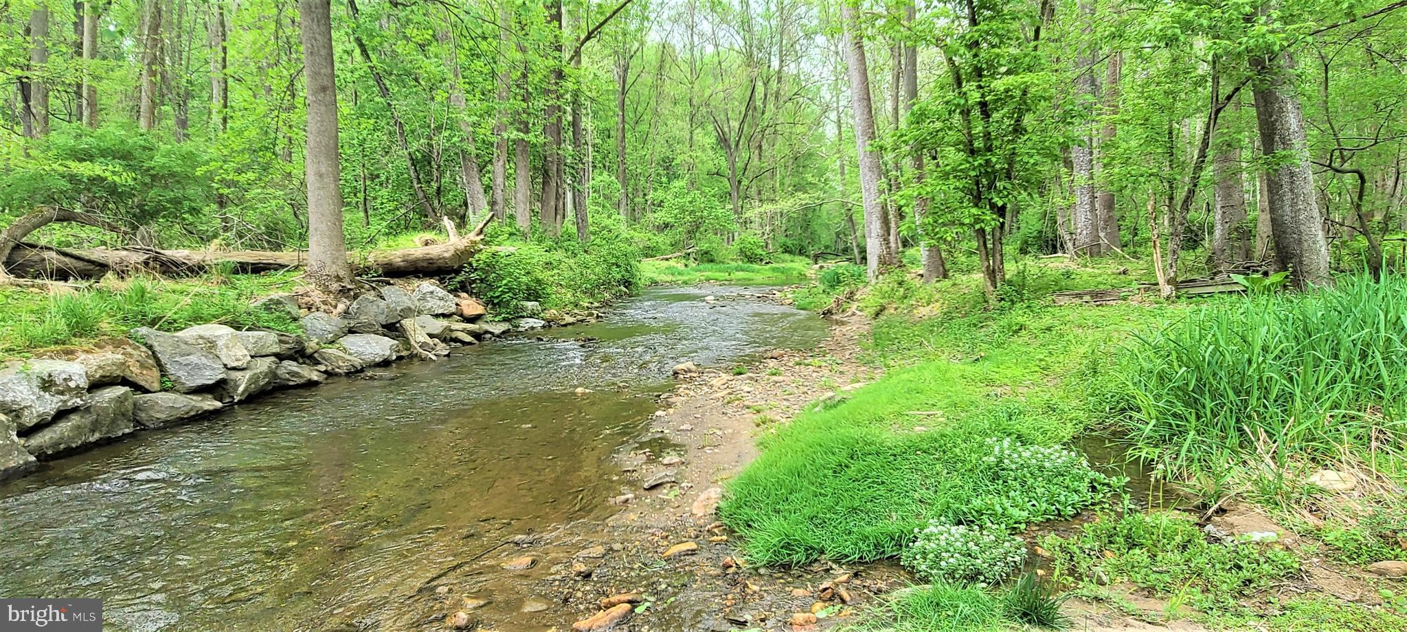 13023 Beaver Dam Road Cockeysville, MD 21030 - Photo 14 of 80 Beaverdam Run - trout stream