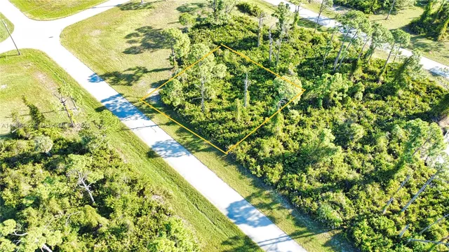a view of a yard with plants