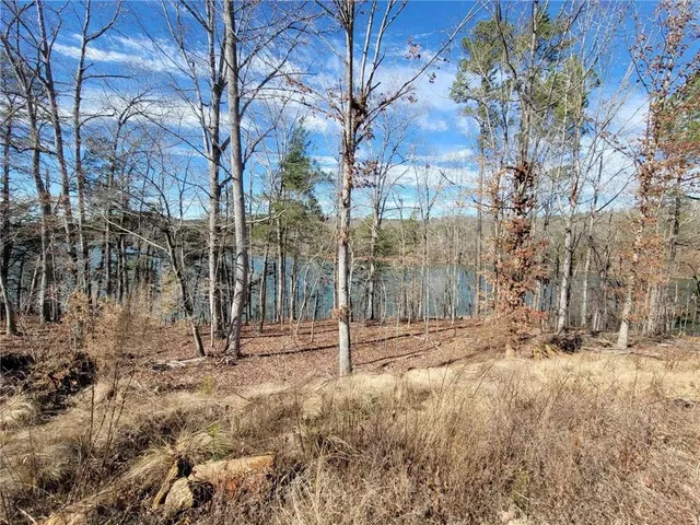 a view of a backyard of a house