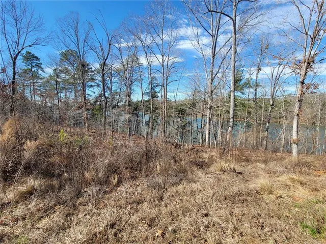 a view of outdoor space and garden
