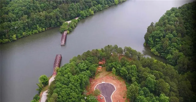 a view of a yard with plants and trees