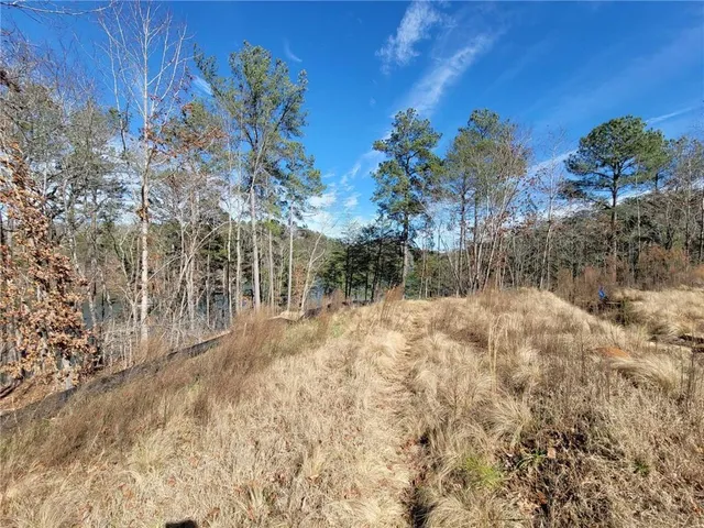 a view of a backyard of the house