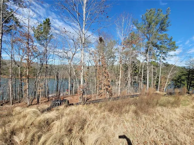 an aerial view of residential house with outdoor space and trees all around