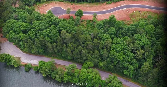 a view of a yard with trees