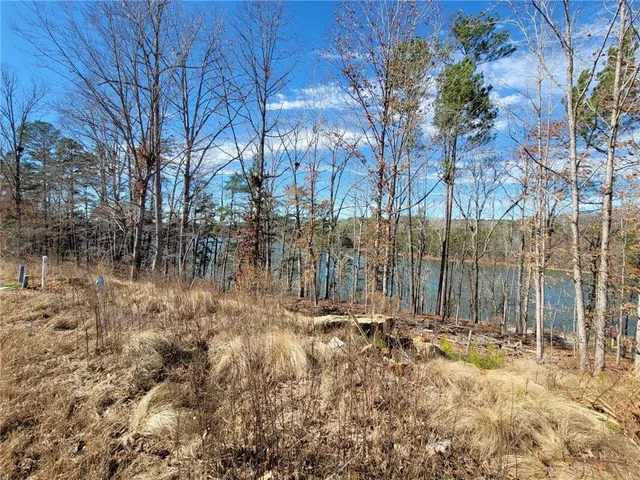 a view of a yard with trees outside of the house