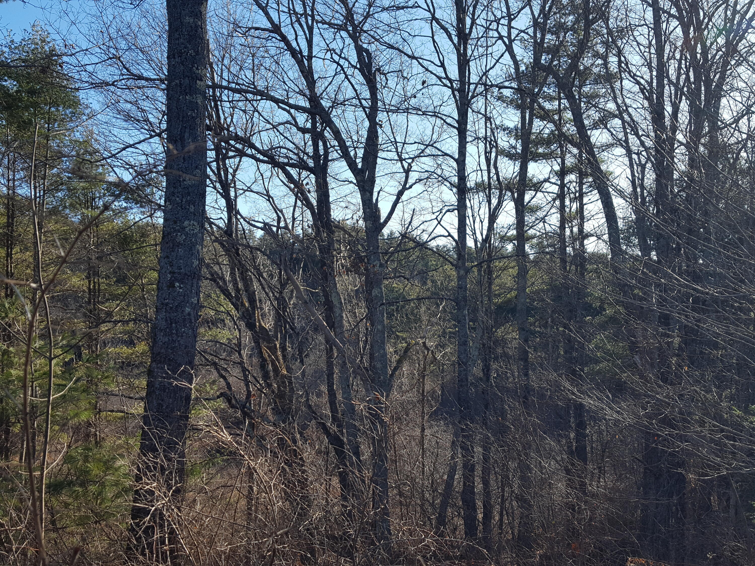 88 Mitchell Hill Road Gorham, ME 04038 - Photo 49 of 99 20231220_124215