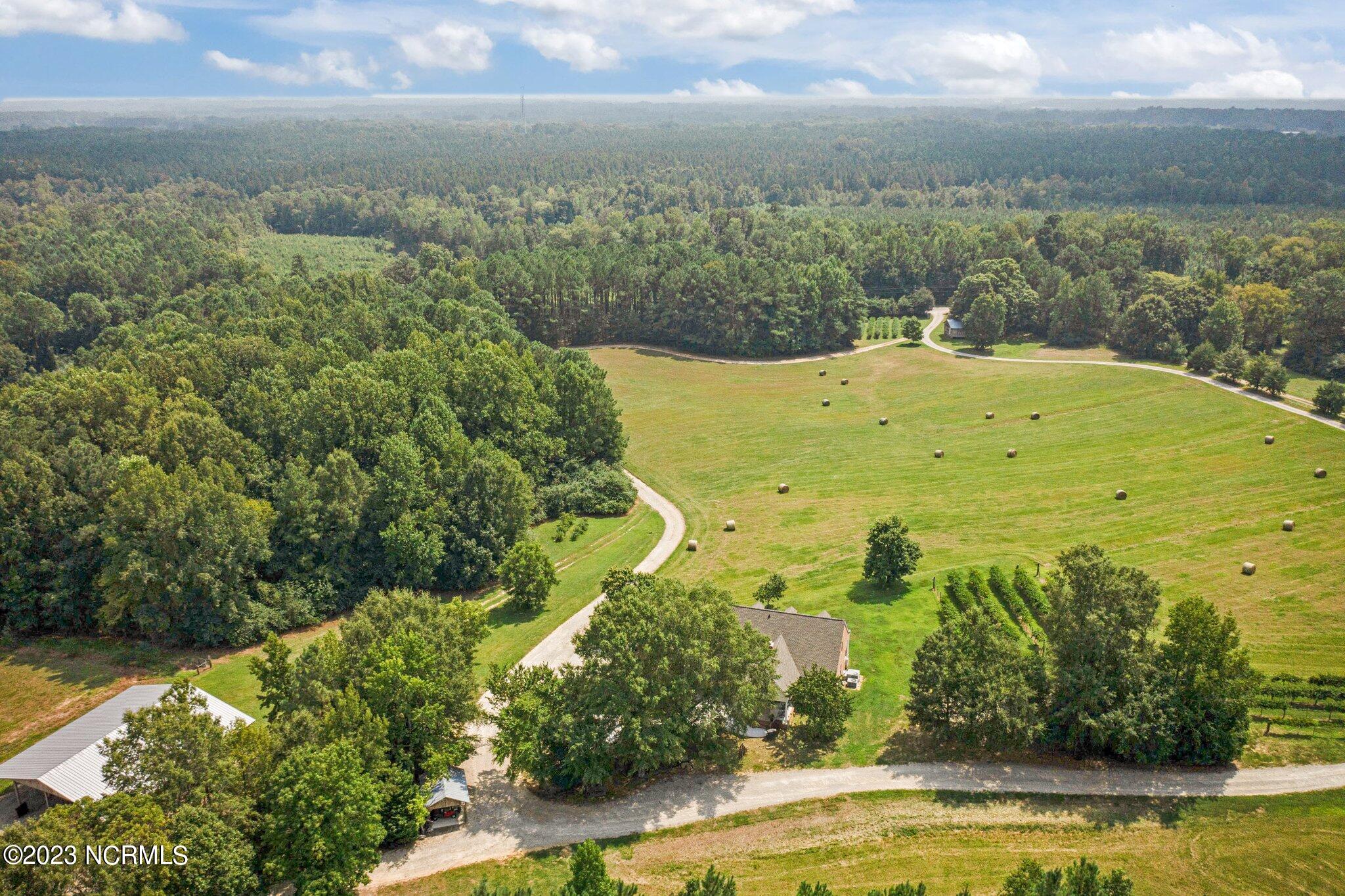 14490 Avent Road Whitakers, NC 27891 - Photo 60 of 70 61-web-or-mls-DJI_0024