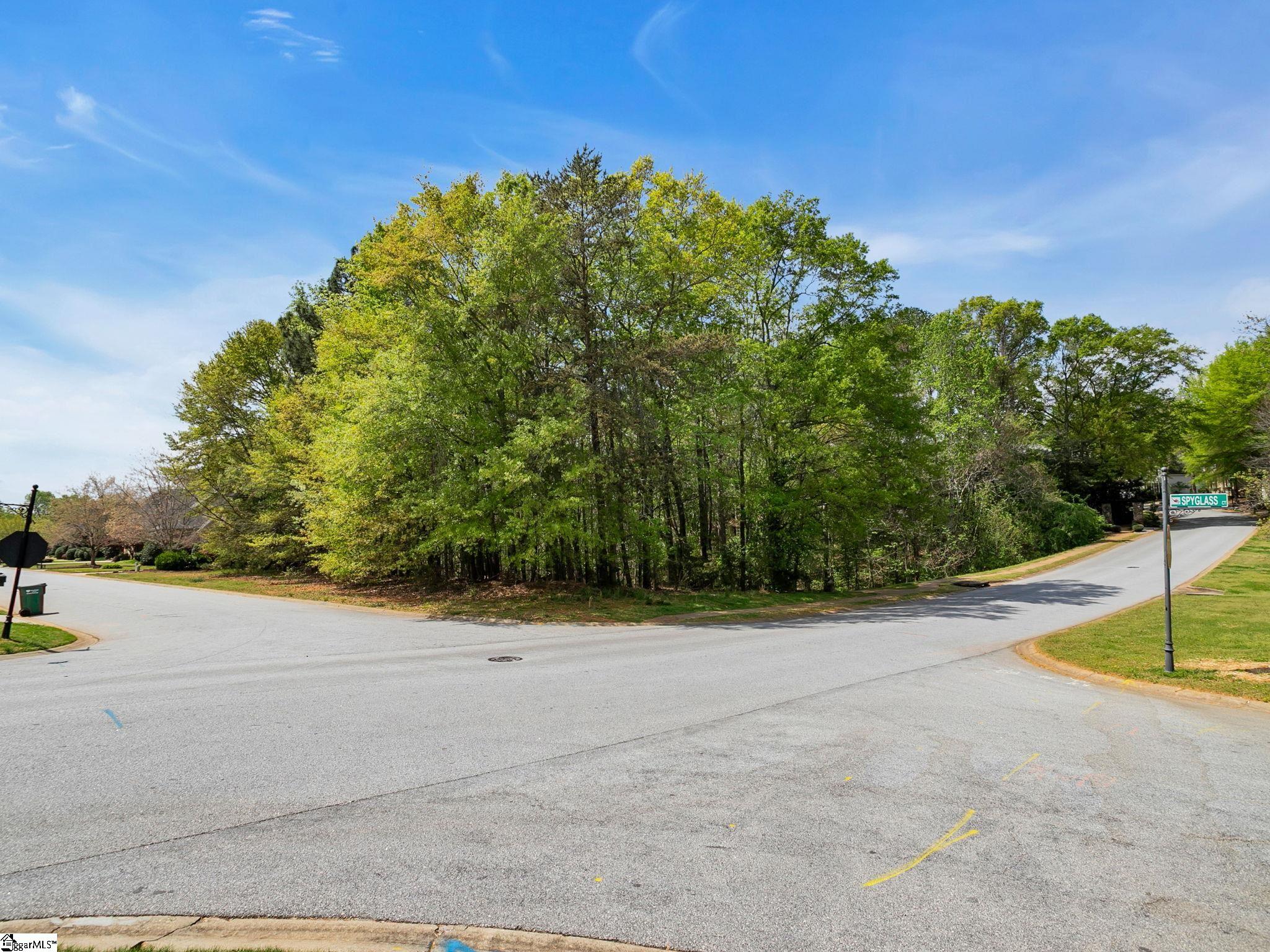602 Mt Vernon Lane Duncan, SC 29334 - Photo 13 of 17