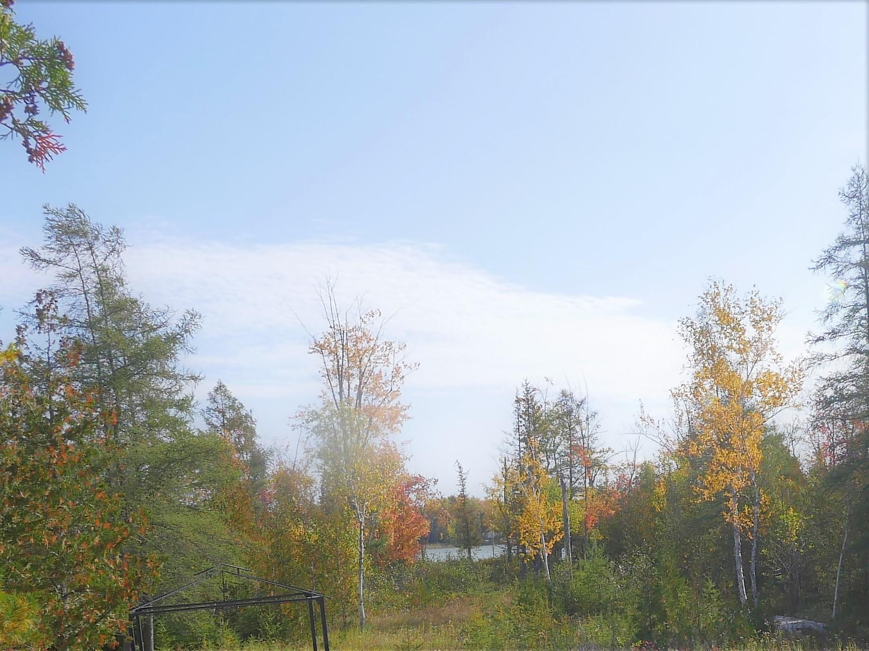 6237 Grand Point Road Presque Isle, MI 49777 - Photo 8 of 20 Gallery Image 8