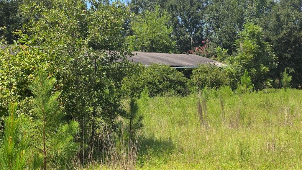 159 Grimsley Road Colquitt, GA 39837 - Photo 2 of 8 Gallery Image 2