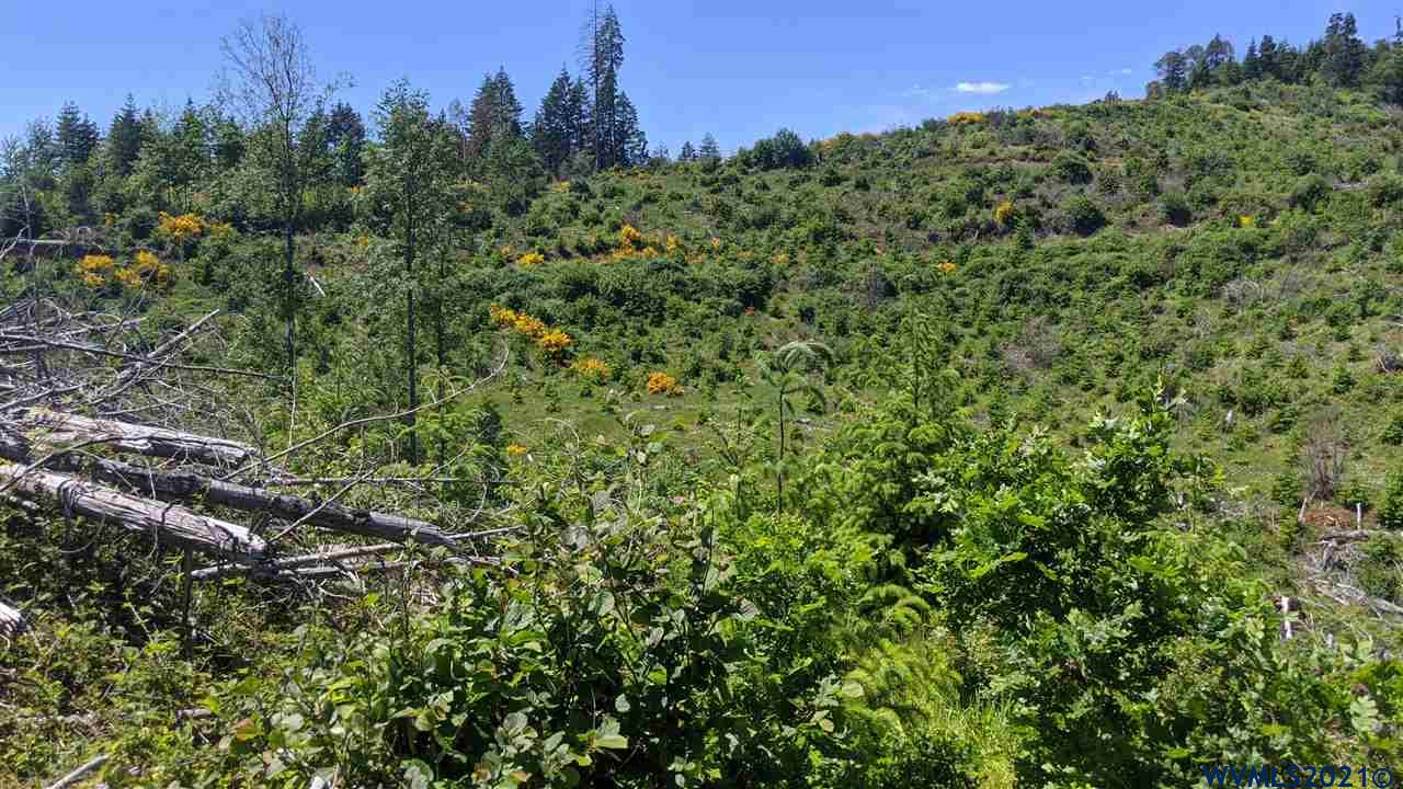 Northwest Timmerman Road Forest Grove, OR 97116 - Photo 17 of 17 Gallery Image 17