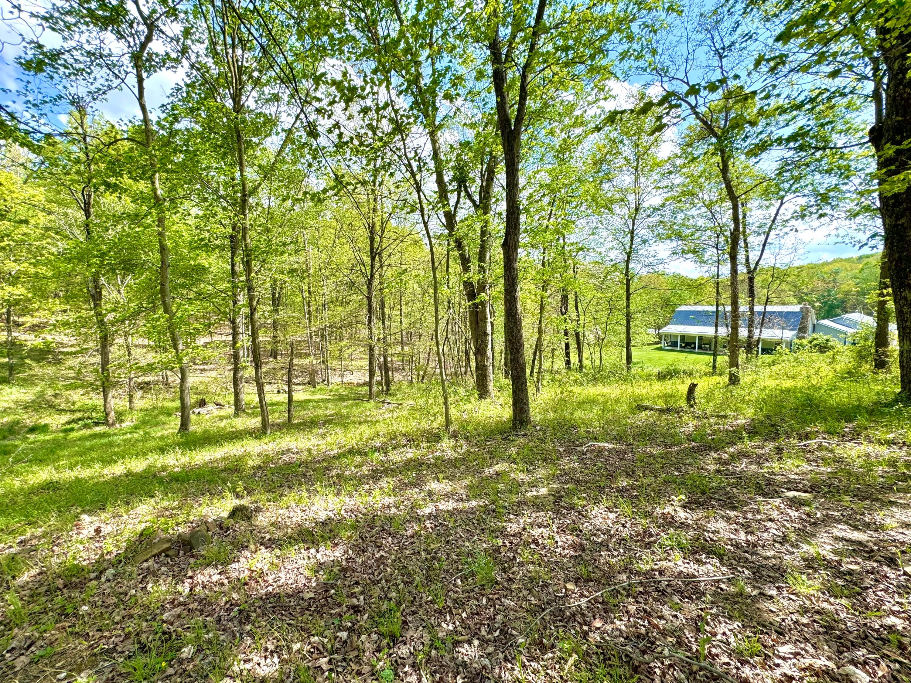 700 Pennington Road Waverly, OH 45690 - Photo 52 of 54 IMG_0937