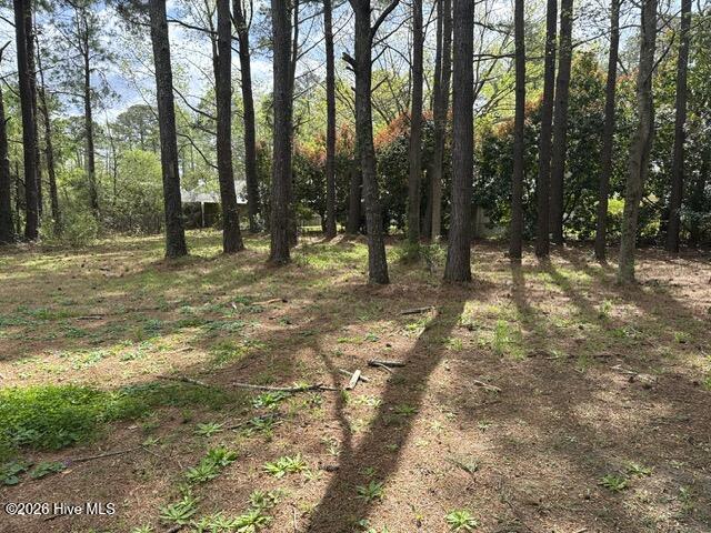 205 Commons Court New Bern, NC 28560 - Photo 12 of 15 Back Yard