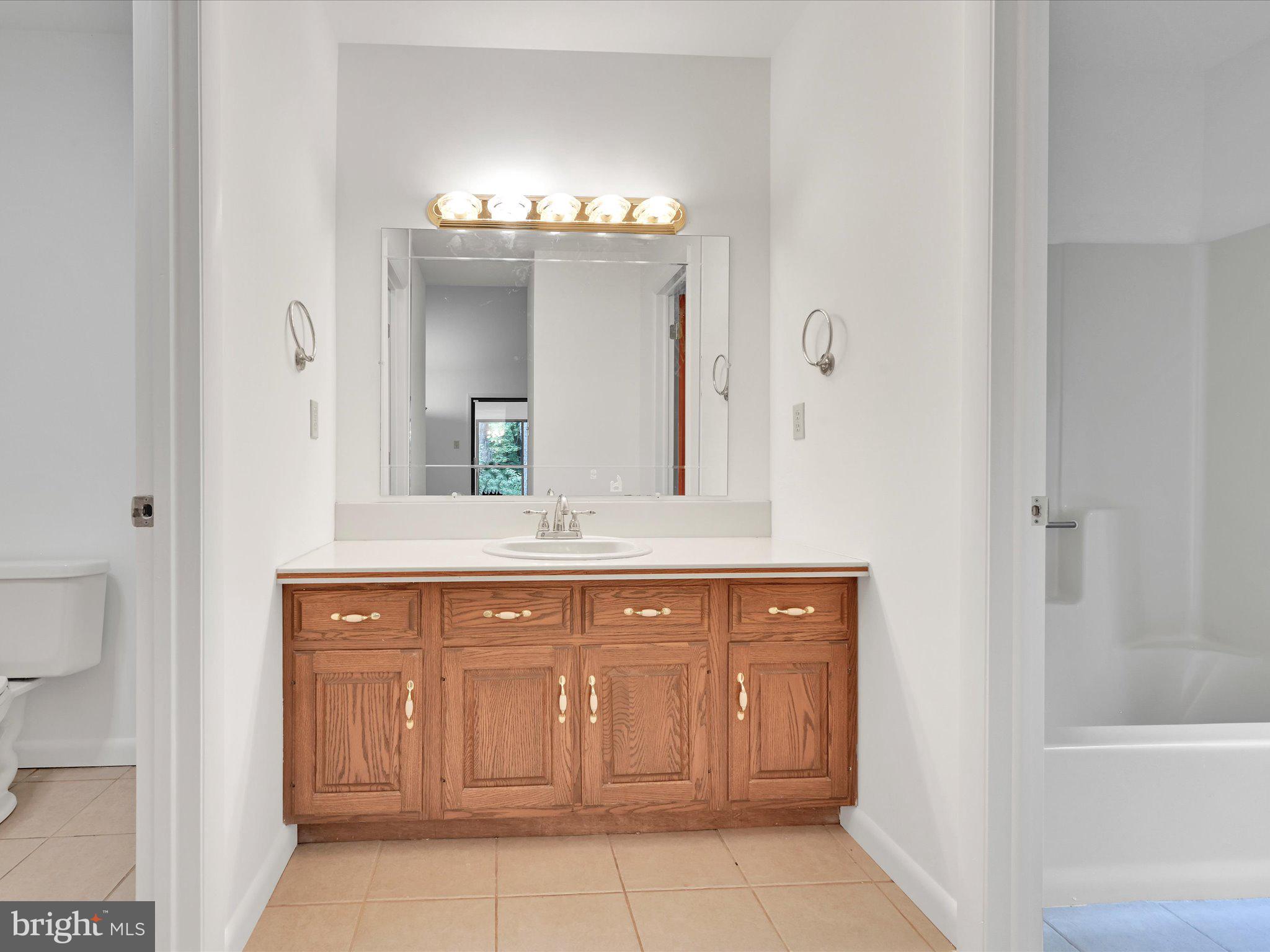 1238 Rebers Bridge Road Leesport, PA 19533 - Photo 15 of 36 Primary Bathroom