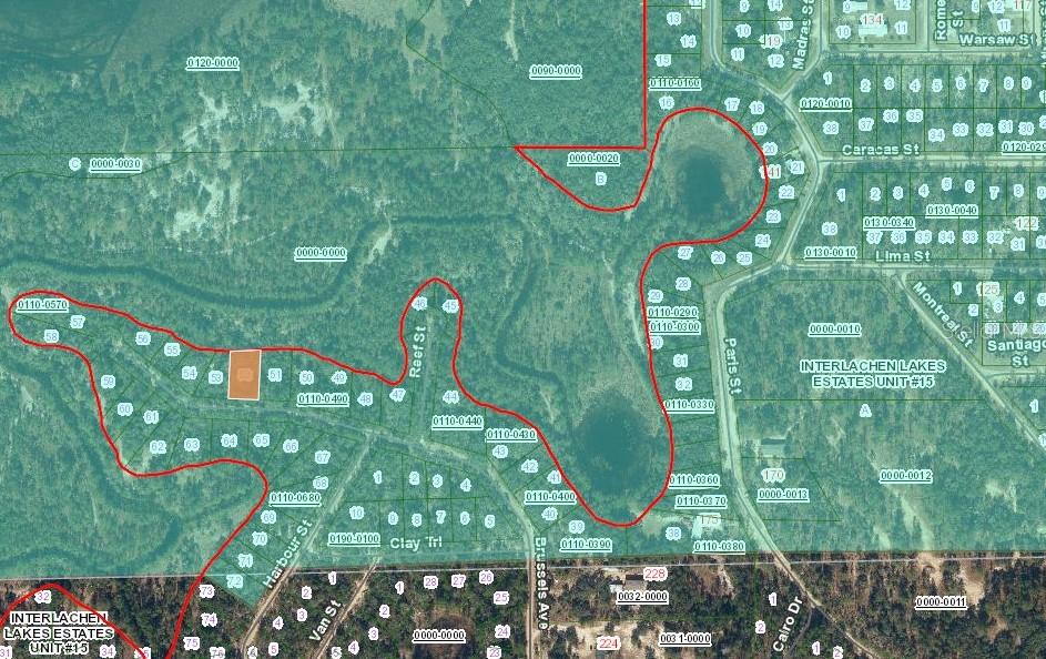 254 Brussels Street Interlachen, FL 32148 - Photo 2 of 3 a view of a swimming pool