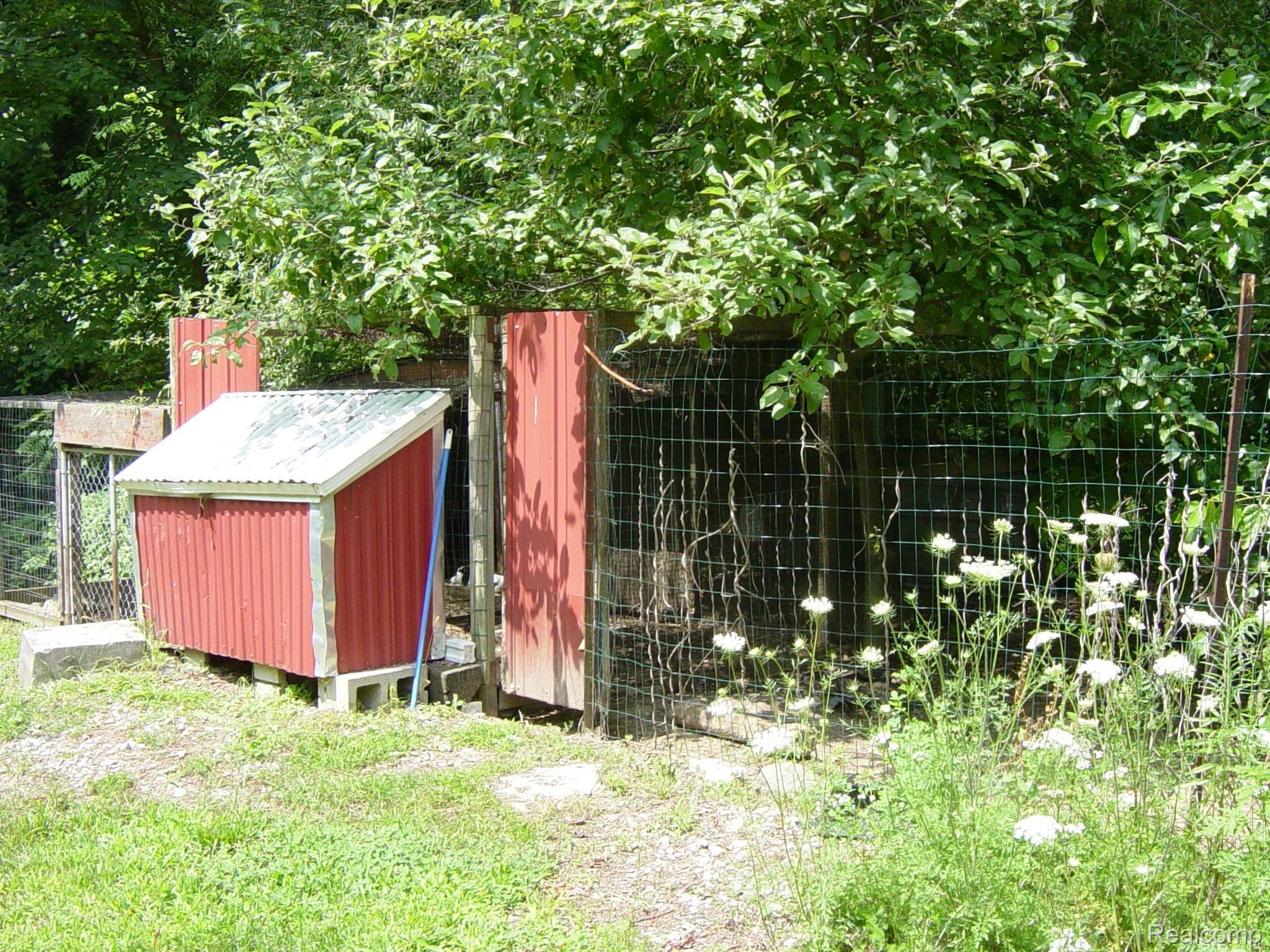 DSC00065.JPG