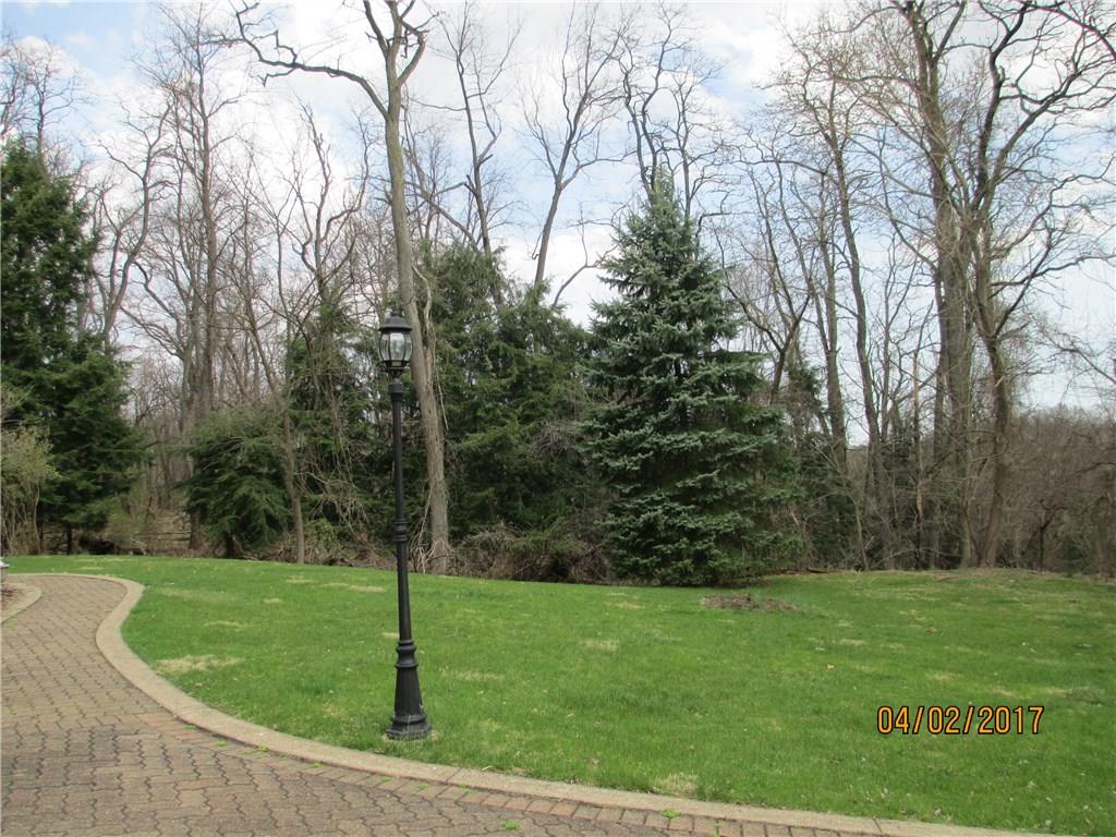 117 Parise Road Forest Hills, PA 15221 - Photo 3 of 23 a view of a park