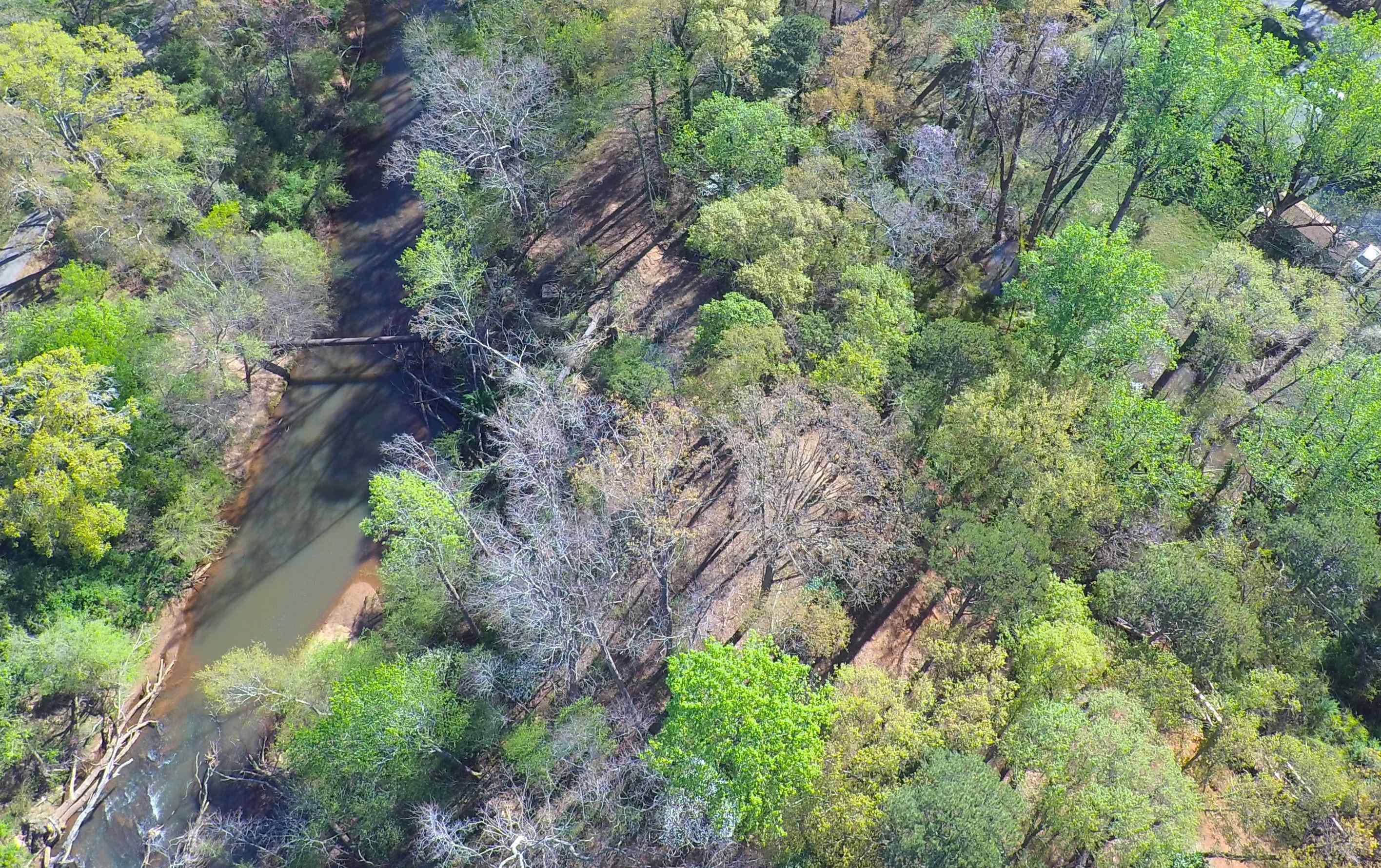 988 Barnwell Road Spartanburg, SC 29303 - Photo 17 of 41