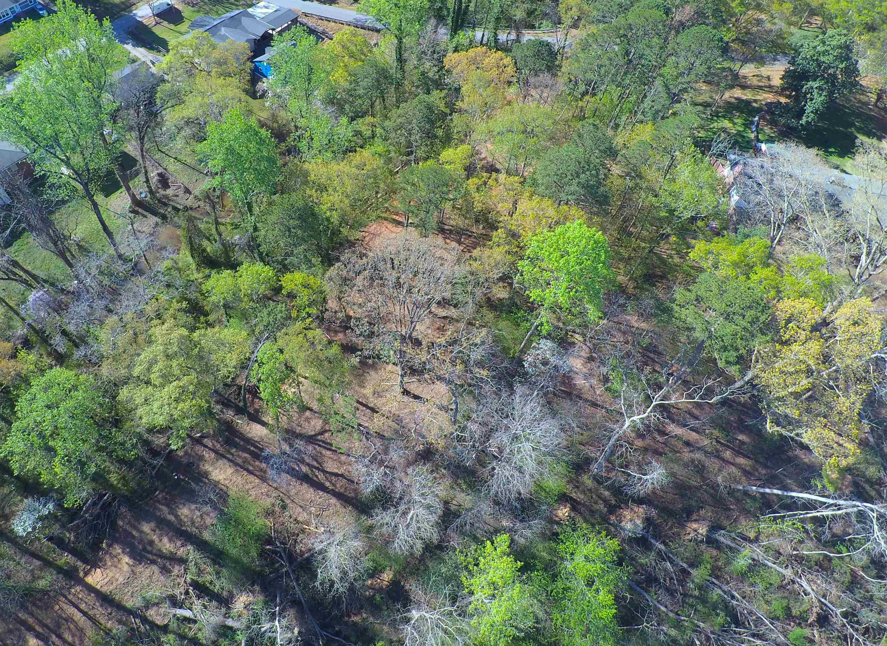 988 Barnwell Road Spartanburg, SC 29303 - Photo 18 of 41