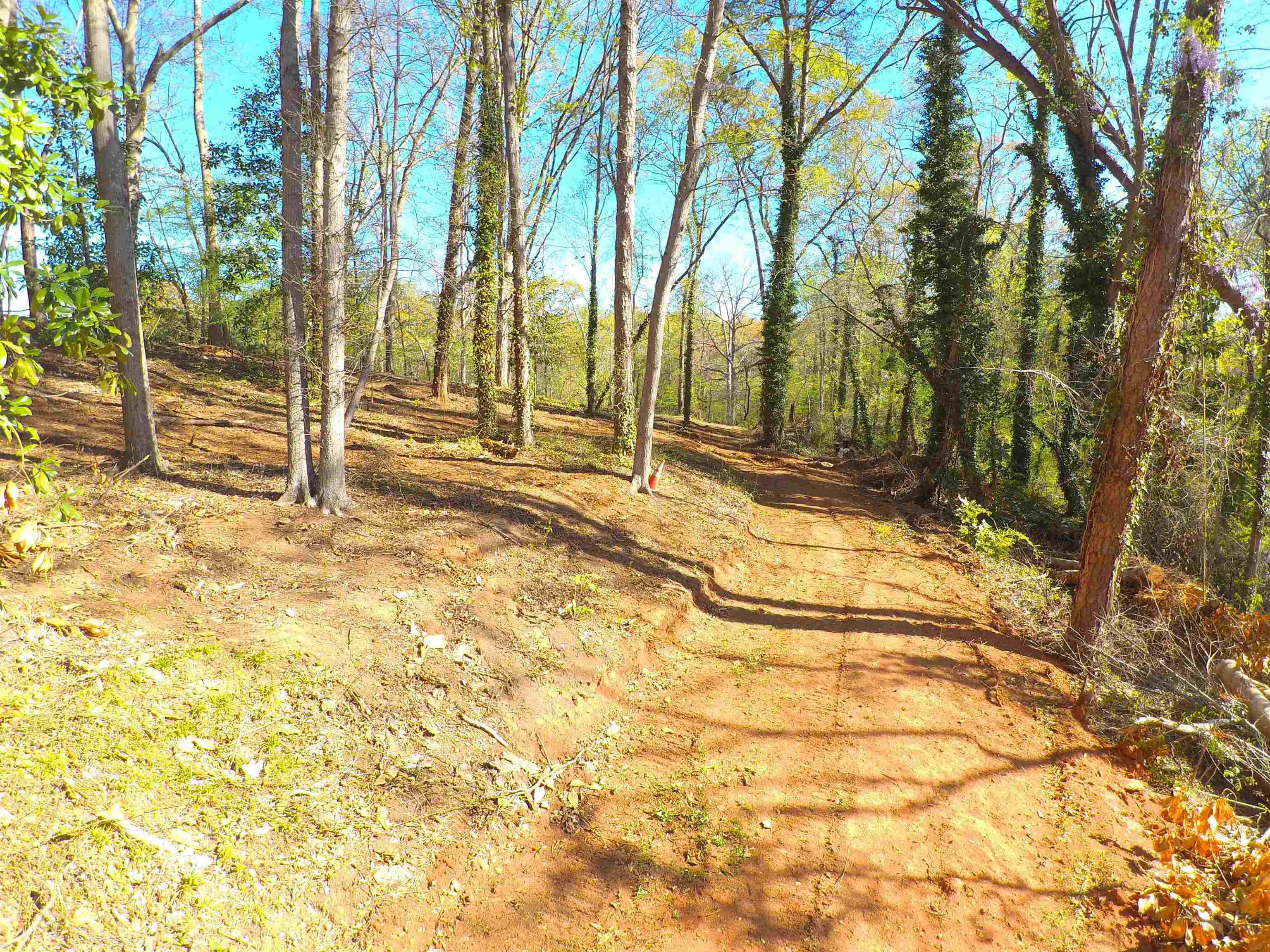 988 Barnwell Road Spartanburg, SC 29303 - Photo 21 of 41