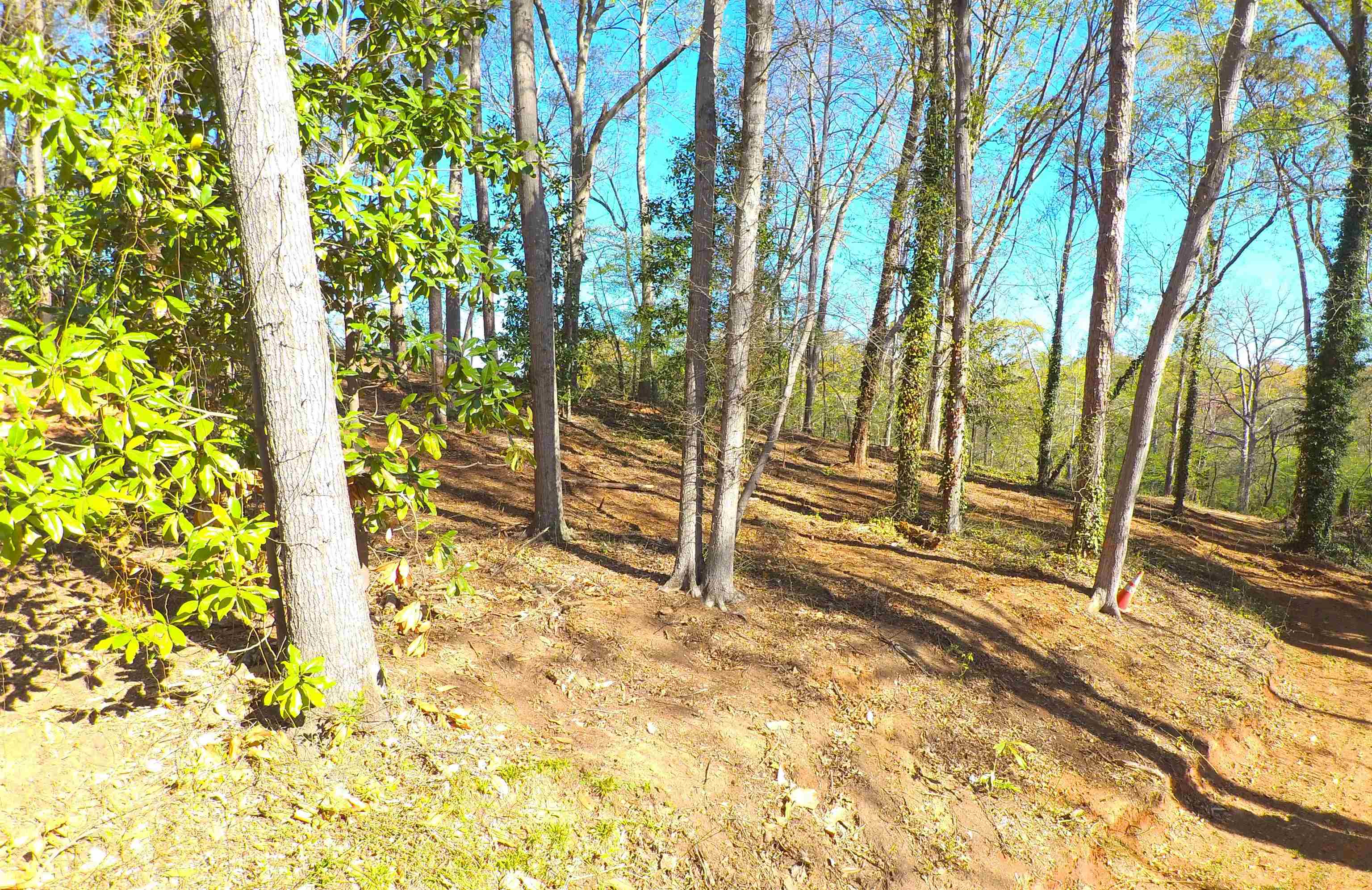 988 Barnwell Road Spartanburg, SC 29303 - Photo 22 of 41