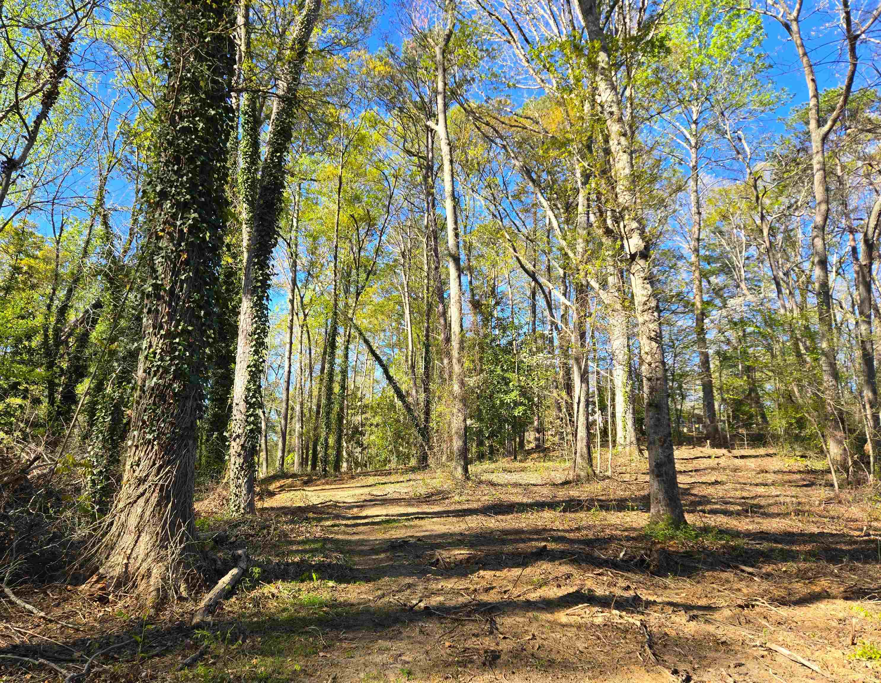 988 Barnwell Road Spartanburg, SC 29303 - Photo 23 of 41