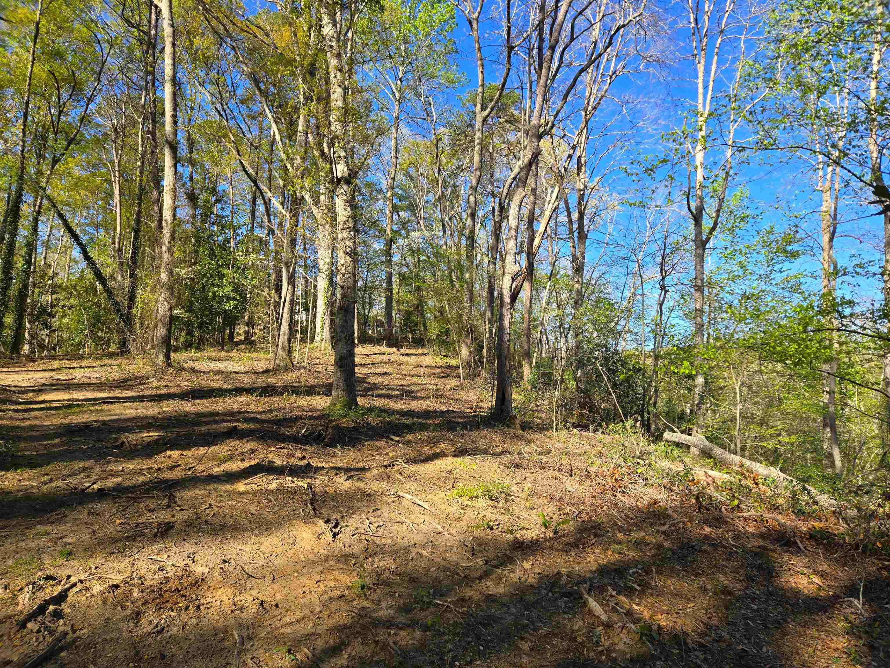 988 Barnwell Road Spartanburg, SC 29303 - Photo 24 of 41