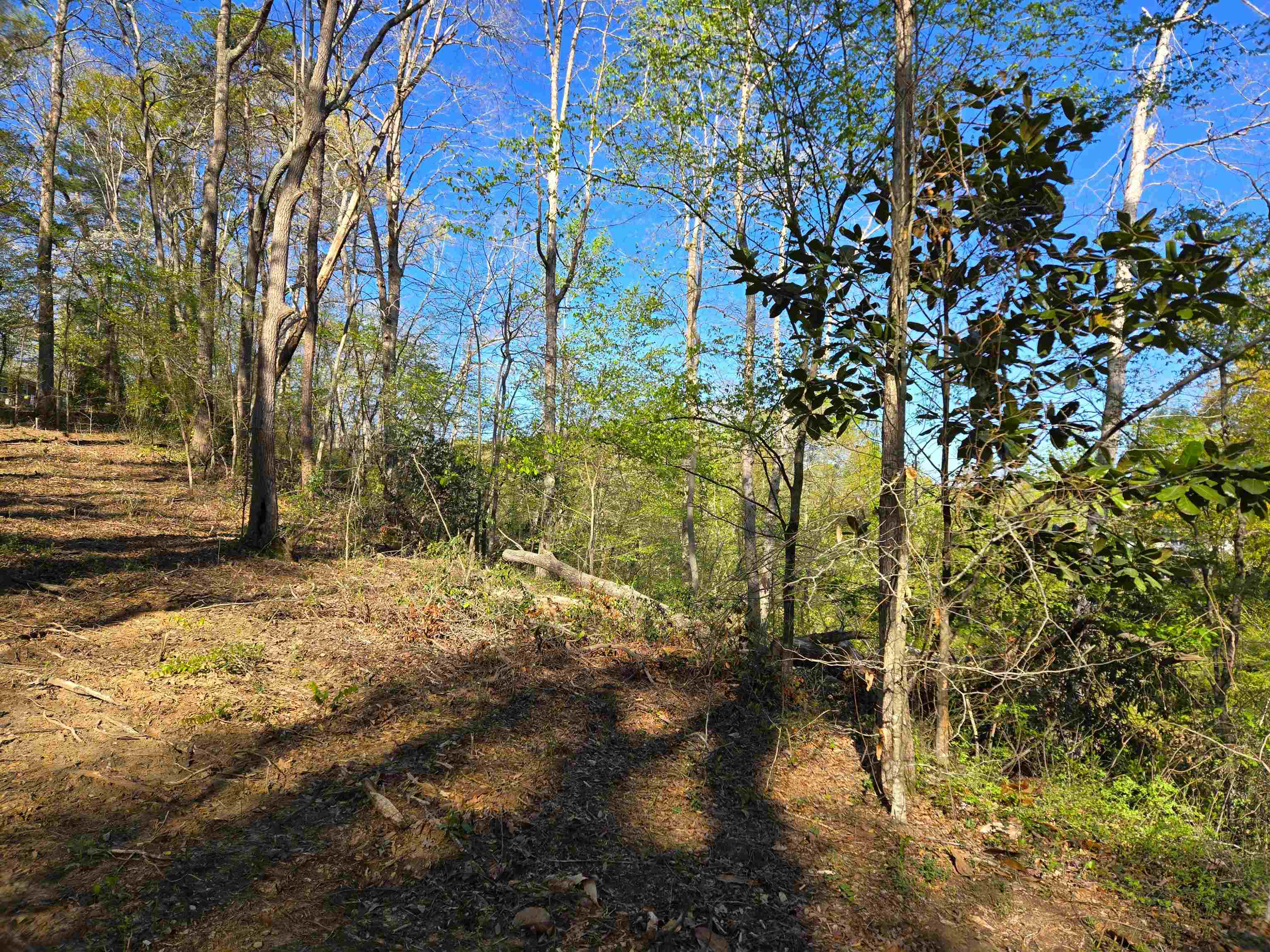 988 Barnwell Road Spartanburg, SC 29303 - Photo 25 of 41