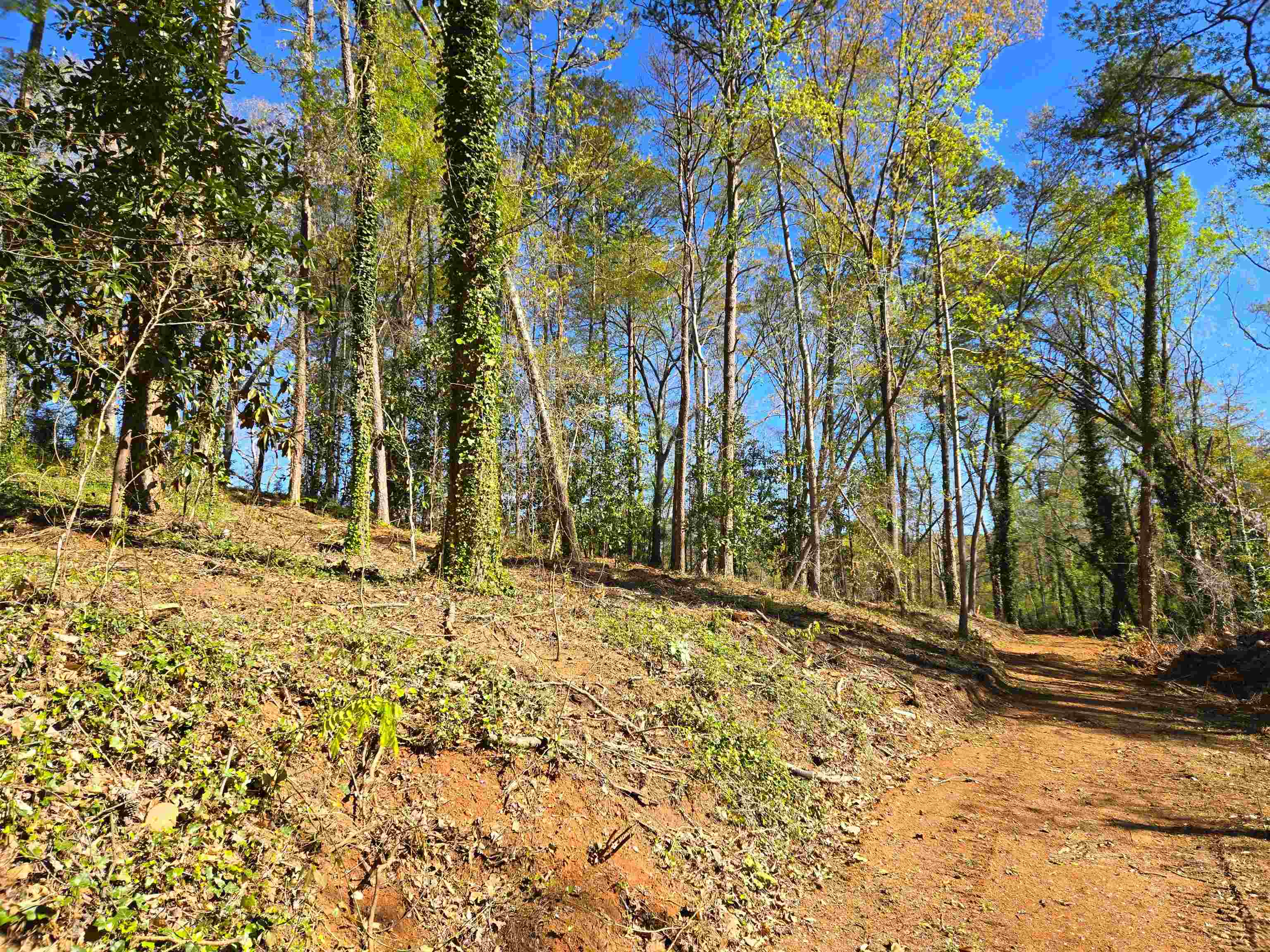 988 Barnwell Road Spartanburg, SC 29303 - Photo 26 of 41