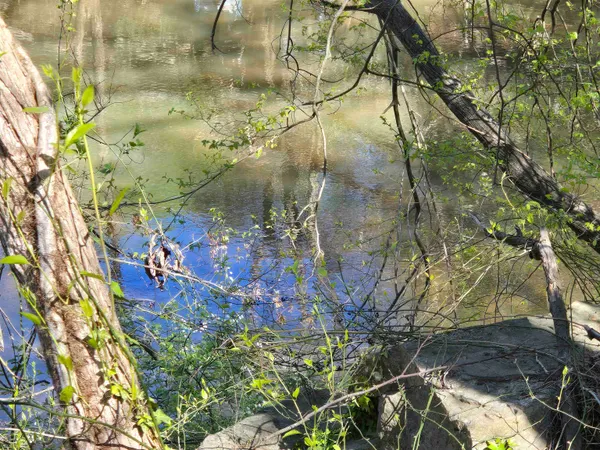 $59,900 | 988 Barnwell Road, Spartanburg, SC 29303