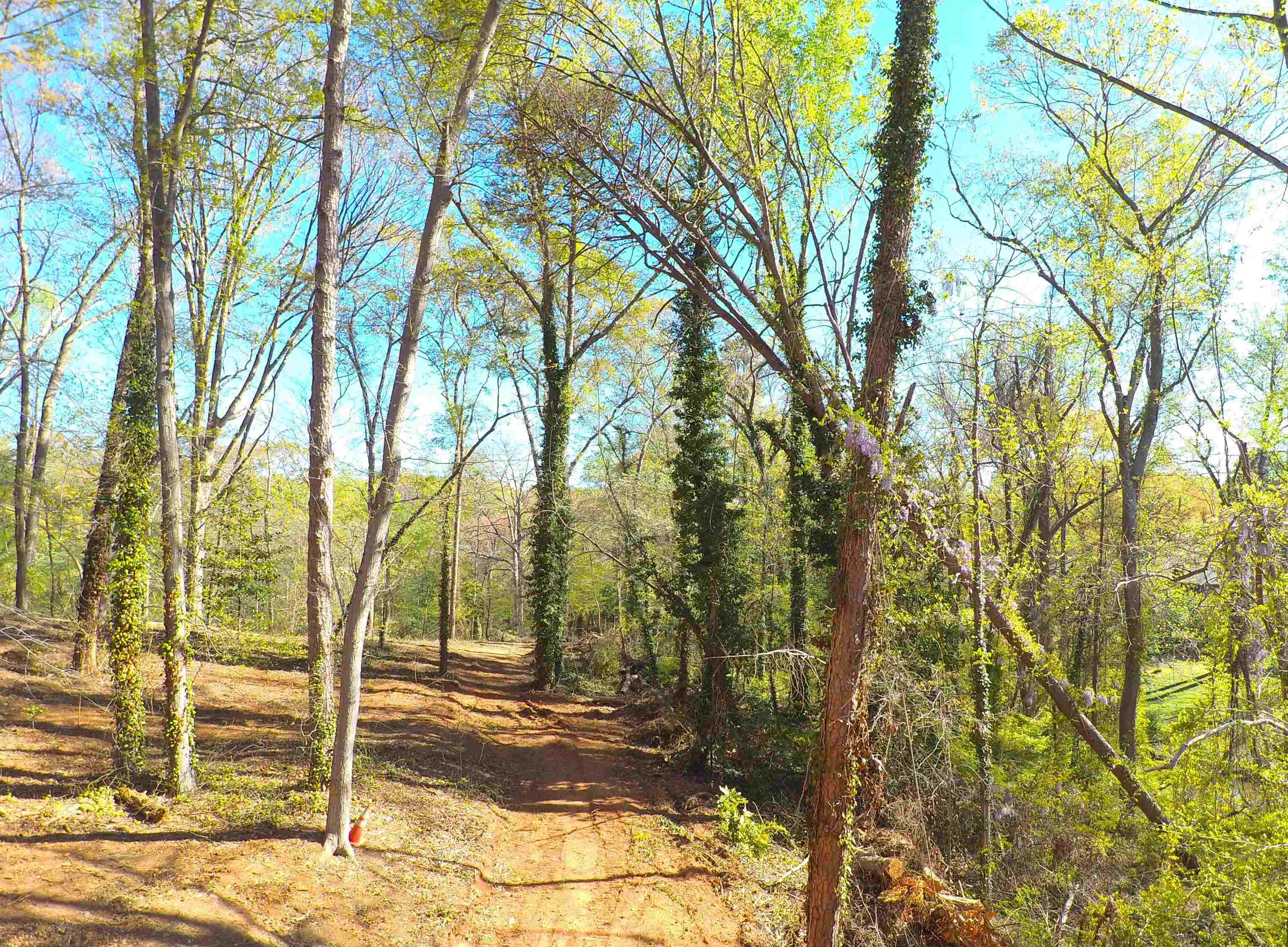 988 Barnwell Road Spartanburg, SC 29303 - Photo 39 of 41