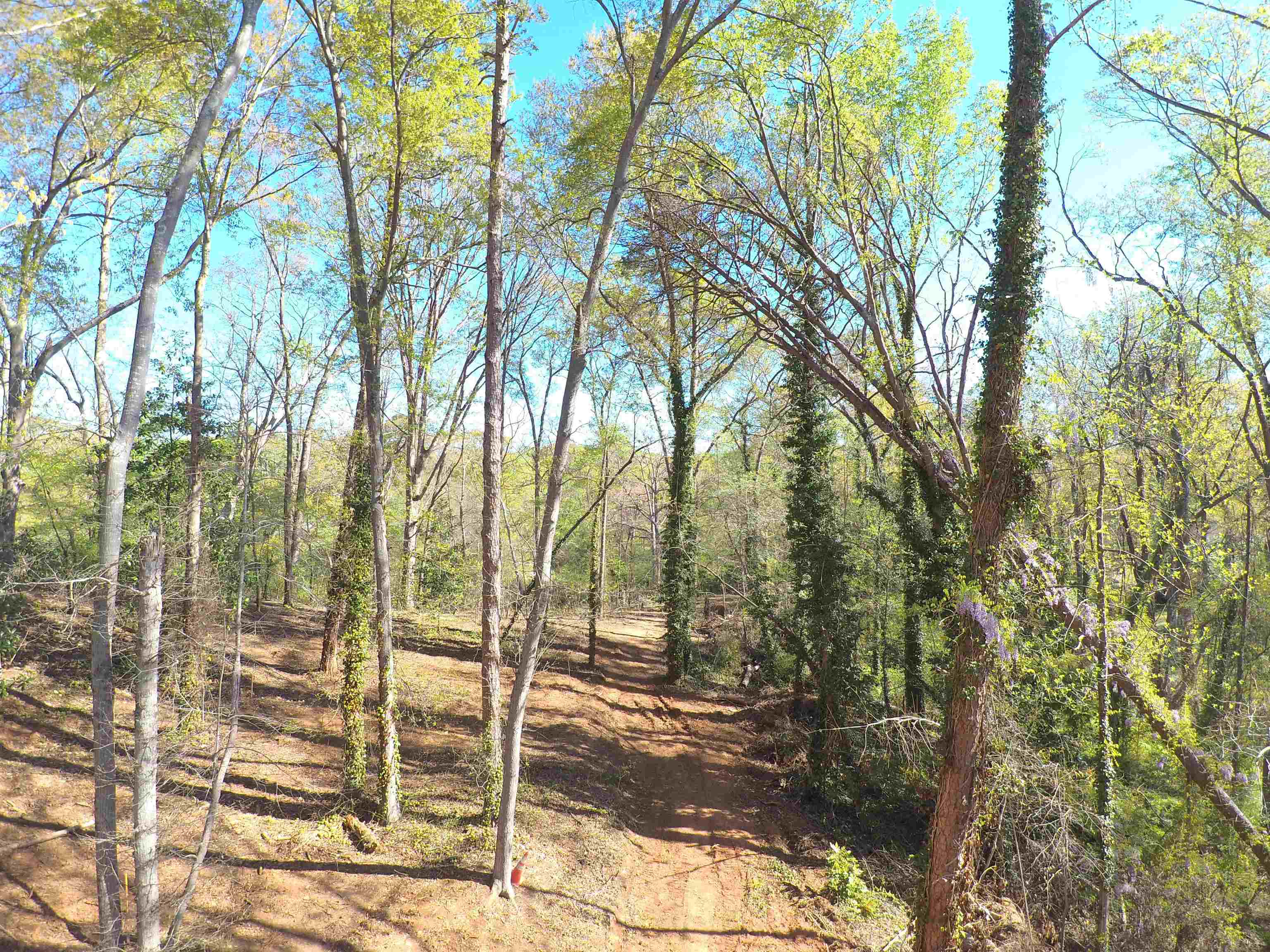 988 Barnwell Road Spartanburg, SC 29303 - Photo 41 of 41