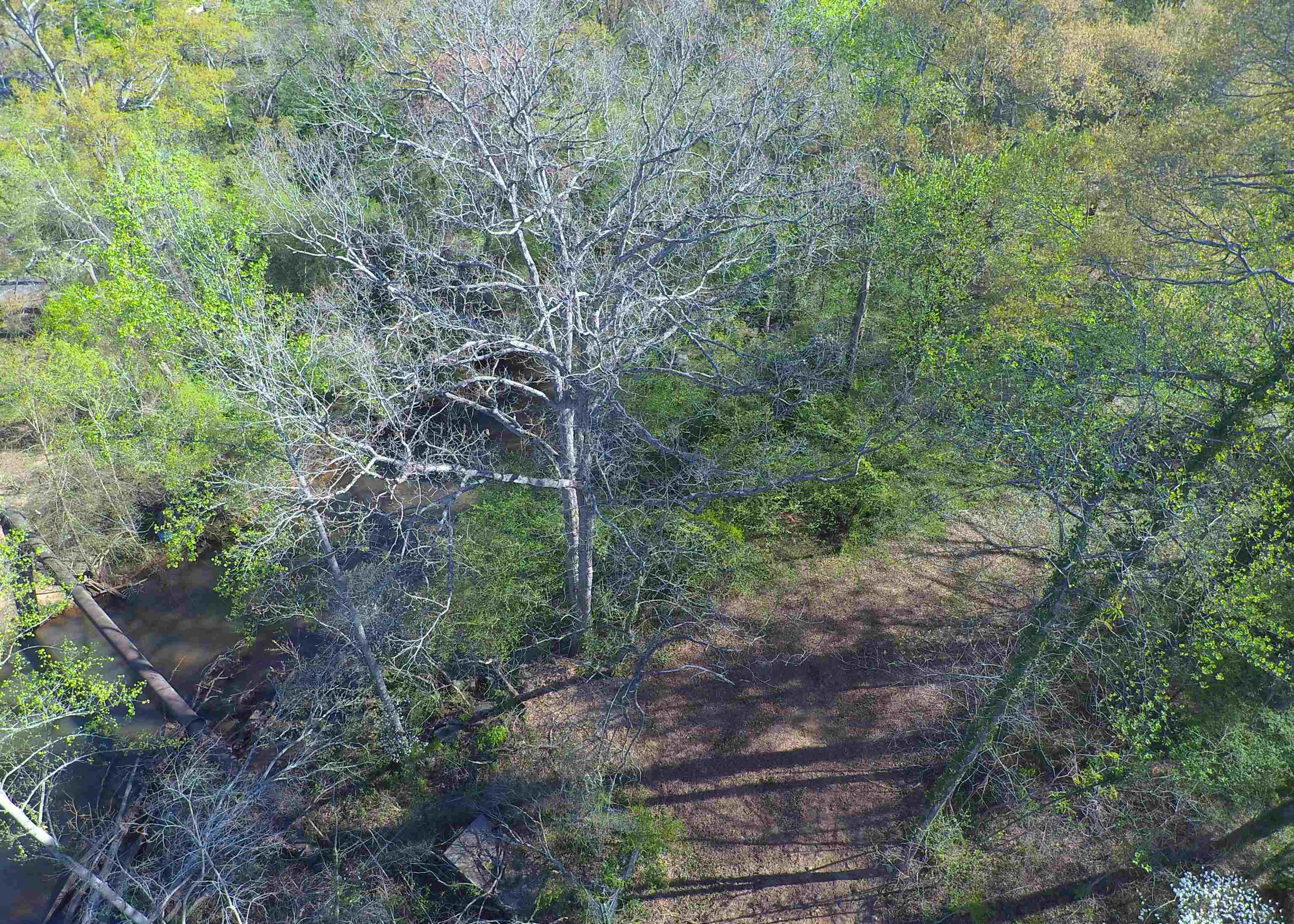 988 Barnwell Road Spartanburg, SC 29303 - Photo 5 of 41