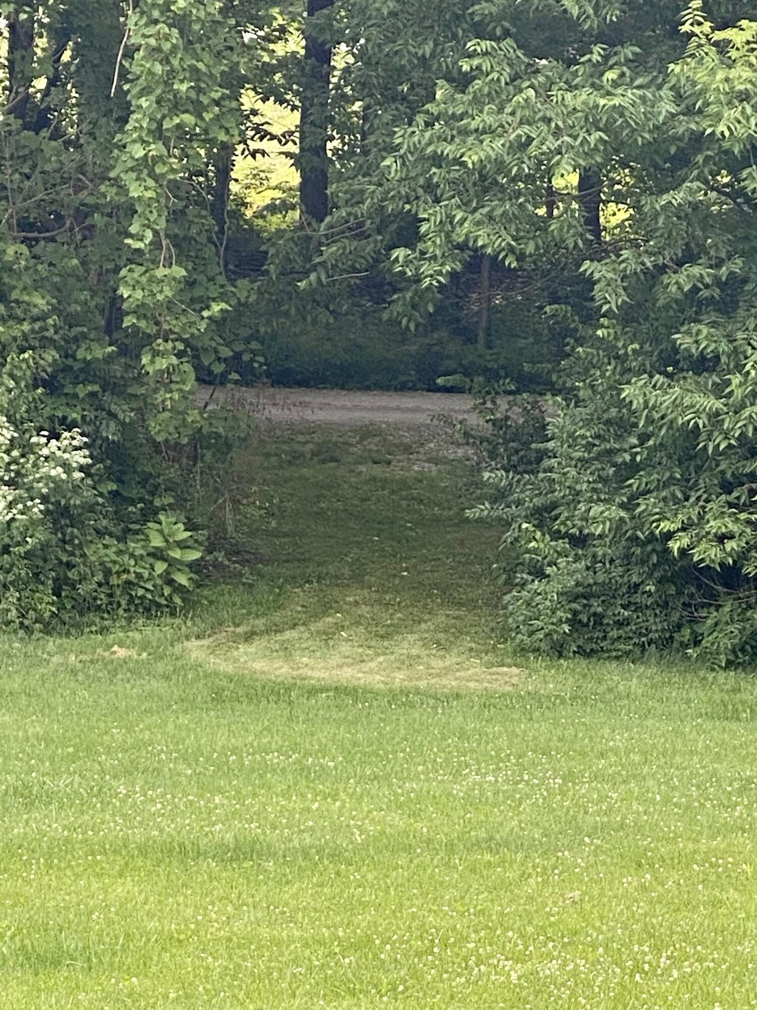 626 Crumbaugh Road Georgetown, KY 40324 - Photo 53 of 54 9CE95B35-7636-4968-A7B9-7AA969867EFE