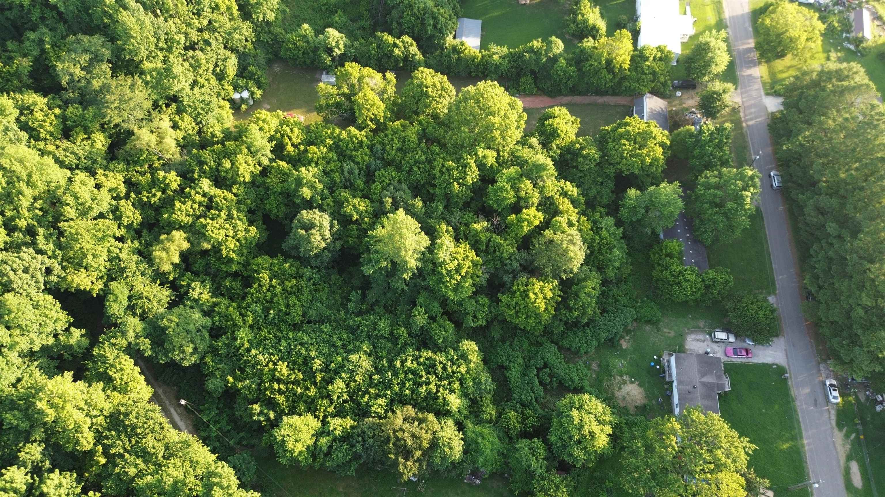 92 Cedar Point Road Drummonds, TN 38023 - Photo 4 of 5