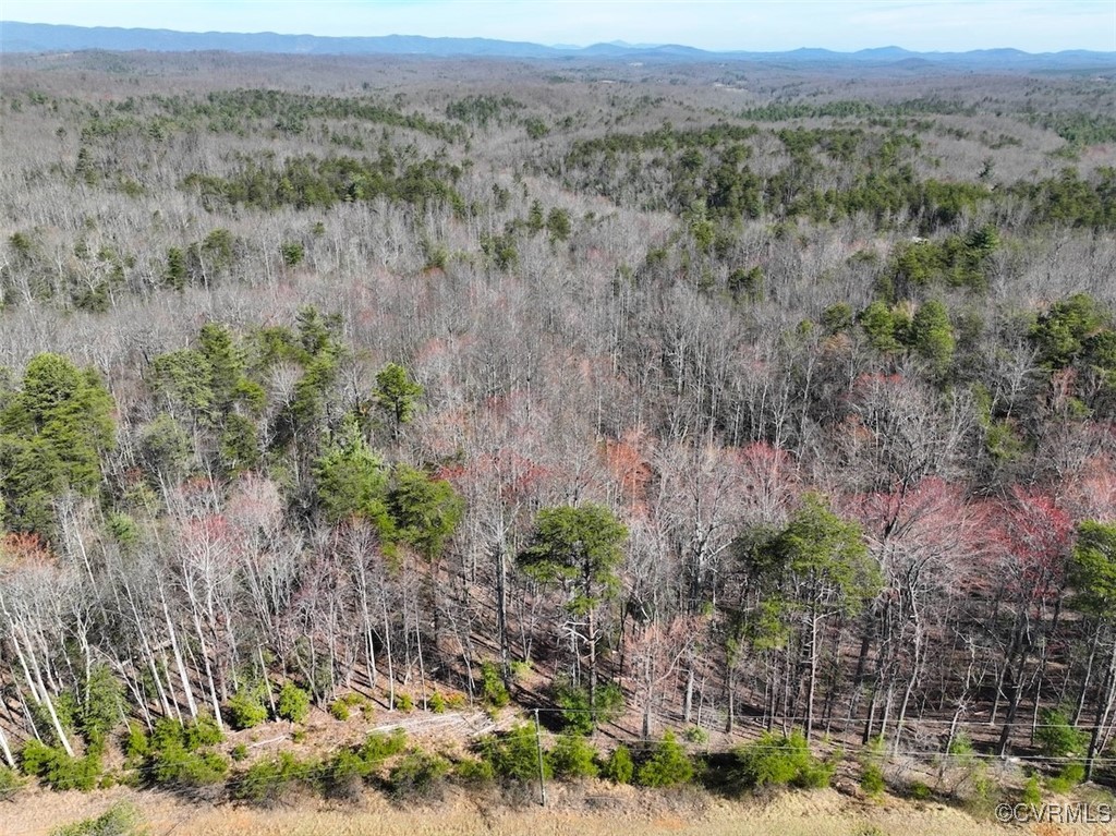 a view of a valley with a mountain in the background