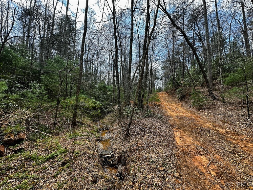 41.18 Acres (off Of) Pole Bridge Road Stuart, VA 24171 - Photo 13 of 39 a view of a forest with trees in the background