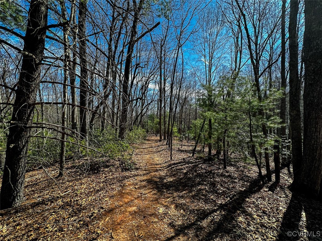 41.18 Acres (off Of) Pole Bridge Road Stuart, VA 24171 - Photo 15 of 39 a view of backyard with green space
