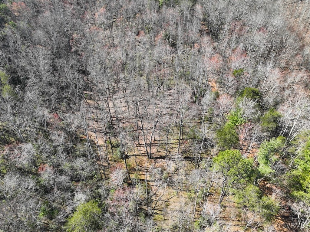 41.18 Acres (off Of) Pole Bridge Road Stuart, VA 24171 - Photo 19 of 39 a view of a yard