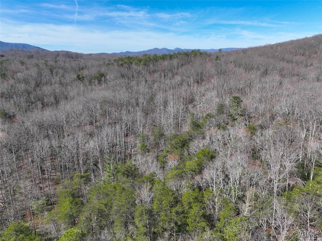 41.18 Acres (off Of) Pole Bridge Road Stuart, VA 24171 - Photo 2 of 39 a view of a lush green forest with lush green forest